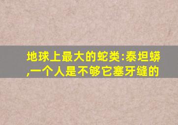 地球上最大的蛇类:泰坦蟒,一个人是不够它塞牙缝的