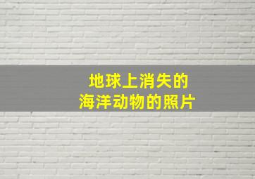 地球上消失的海洋动物的照片