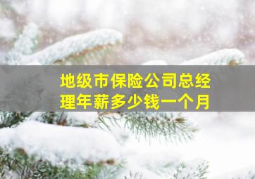 地级市保险公司总经理年薪多少钱一个月