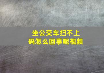 坐公交车扫不上码怎么回事呢视频