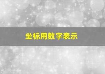 坐标用数字表示