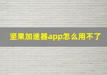 坚果加速器app怎么用不了