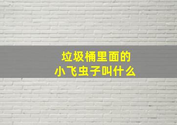 垃圾桶里面的小飞虫子叫什么