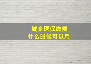 城乡医保缴费什么时候可以用