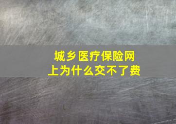 城乡医疗保险网上为什么交不了费