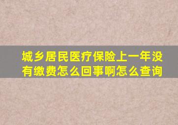 城乡居民医疗保险上一年没有缴费怎么回事啊怎么查询