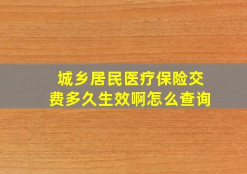 城乡居民医疗保险交费多久生效啊怎么查询