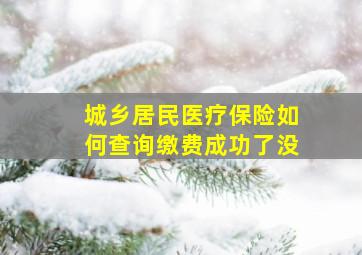 城乡居民医疗保险如何查询缴费成功了没