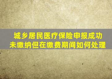 城乡居民医疗保险申报成功未缴纳但在缴费期间如何处理