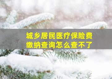 城乡居民医疗保险费缴纳查询怎么查不了