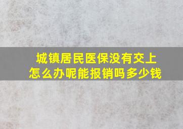 城镇居民医保没有交上怎么办呢能报销吗多少钱