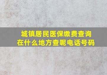 城镇居民医保缴费查询在什么地方查呢电话号码