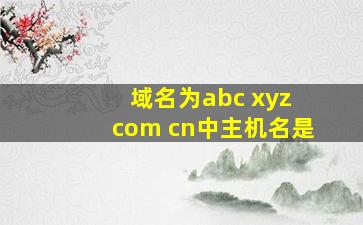 域名为abc xyz com cn中主机名是