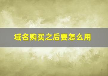 域名购买之后要怎么用