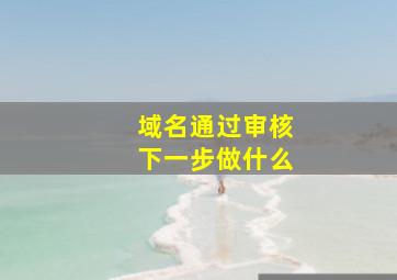 域名通过审核下一步做什么