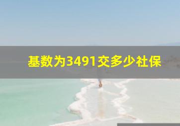 基数为3491交多少社保