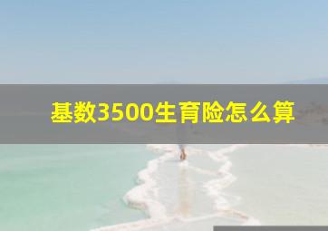 基数3500生育险怎么算