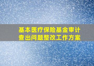 基本医疗保险基金审计查出问题整改工作方案