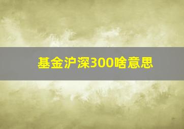 基金沪深300啥意思