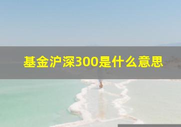 基金沪深300是什么意思