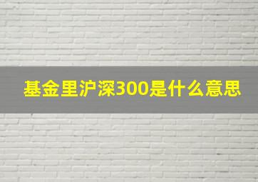 基金里沪深300是什么意思