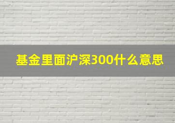 基金里面沪深300什么意思