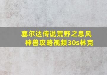 塞尔达传说荒野之息风神兽攻略视频30s林克