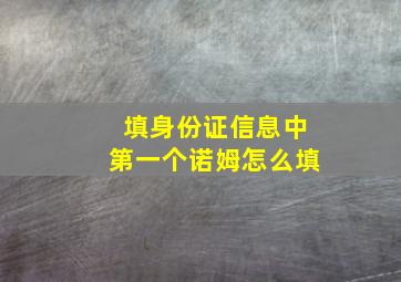 填身份证信息中第一个诺姆怎么填