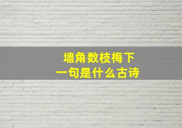 墙角数枝梅下一句是什么古诗