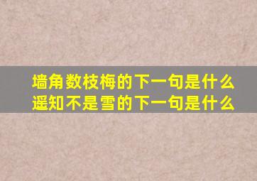 墙角数枝梅的下一句是什么遥知不是雪的下一句是什么