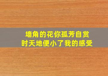 墙角的花你孤芳自赏时天地便小了我的感受