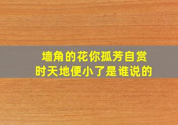 墙角的花你孤芳自赏时天地便小了是谁说的