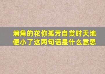 墙角的花你孤芳自赏时天地便小了这两句话是什么意思