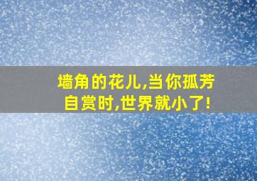 墙角的花儿,当你孤芳自赏时,世界就小了!