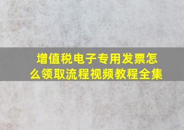 增值税电子专用发票怎么领取流程视频教程全集