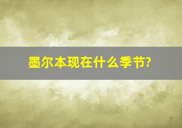 墨尔本现在什么季节?