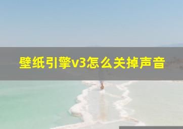 壁纸引擎v3怎么关掉声音