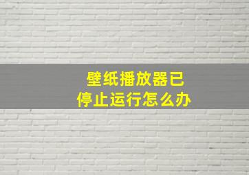 壁纸播放器已停止运行怎么办