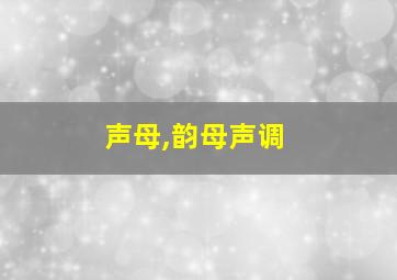 声母,韵母声调