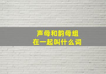 声母和韵母组在一起叫什么词