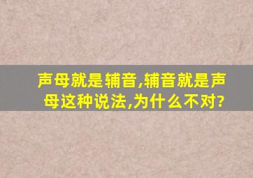 声母就是辅音,辅音就是声母这种说法,为什么不对?