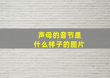 声母的音节是什么样子的图片