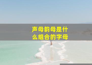 声母韵母是什么组合的字母