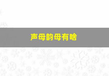 声母韵母有啥