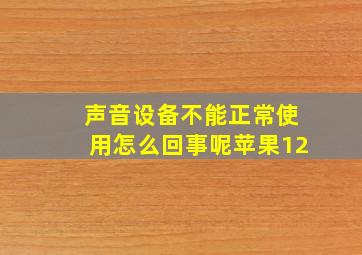 声音设备不能正常使用怎么回事呢苹果12