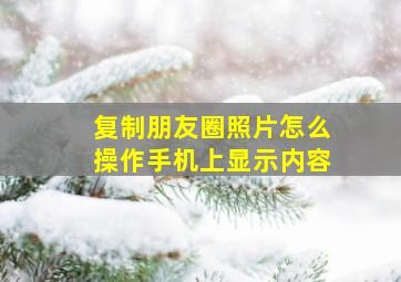 复制朋友圈照片怎么操作手机上显示内容