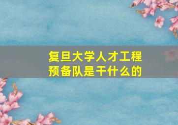 复旦大学人才工程预备队是干什么的