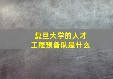 复旦大学的人才工程预备队是什么