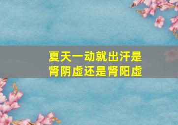 夏天一动就出汗是肾阴虚还是肾阳虚