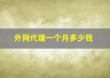 外网代理一个月多少钱